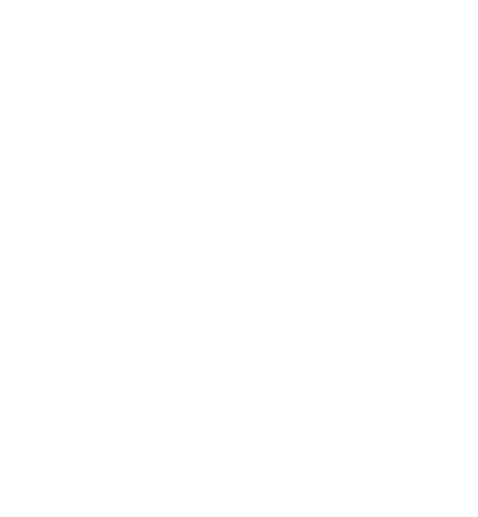 single white arrow